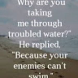 Meet your Posher, Pauline